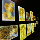 Wystawa Van Gogh w Katowicach (7)