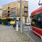 zdjęcie nr 8