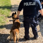 Poszukiwania we wsi Gruszewnia (2)