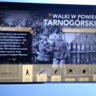 Muzeum_Powstań_Śląskich4