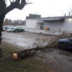 zdjęcie nr 11