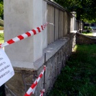 Inwazja biedronki azjatyckiej w Koszutce (7)