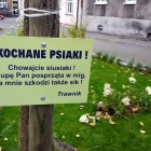 Podwórko, inicjatywa lokalna (8)
