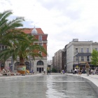 Palmy na Rynku (1)