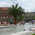 zdjęcie nr 9