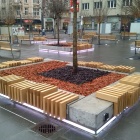 Rynek w Katowicach