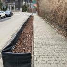 zdjęcie nr 8