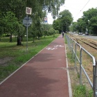 zdjęcie nr 11