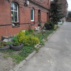 zdjęcie nr 11