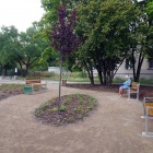 zdjęcie nr 7