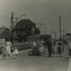 zdjęcie nr 22