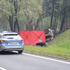 zdjęcie nr 8