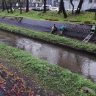 Sadzenie nowych roślin, Rawa (4)