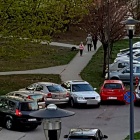 zdjęcie nr 14