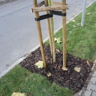 zdjęcie nr 3