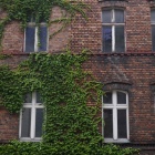 Kamienice ul. Mariacka (11)