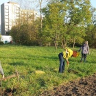 Inicjatywa lokalna w Dąbrówce Małej (1)