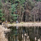 Sprzątanie nad Bolina (8)