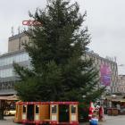 zdjęcie nr 11
