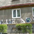 zdjęcie nr 8