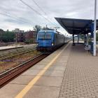 Fotka nr 5 z 22