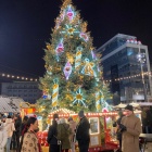 Choinka na rynku w Katowicach