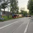 Fotka nr 2 z 7