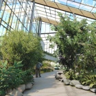 Egzotarium - wizualizacja (2)