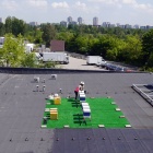 Pasieka Katowice