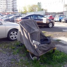 Koty na parkingu (1)