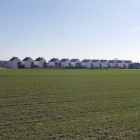 Zarzecze