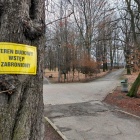 Rewitalizacja Parku Wełnowieckiego (4)
