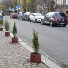 Gazony na Sienkiewicza (2)