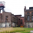 Pasieka w Muzeum Śląskim (3)