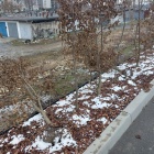 Zniszczenia po otwarciu stadionu w Sosnowcu (3)