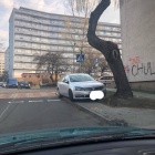 zdjęcie nr 11