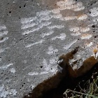 IMG-0416