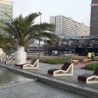 Transport palm (3)