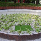 Park Bogucki (5)