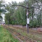 Fotka nr 3 z 11