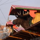 Jarmark bożonarodzeniowy (3)
