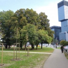 Skwer przy Superjednostce (1)