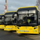 zdjęcie nr 11