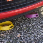 Koty na parkingu (3)