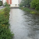 Rawa w centrum Katowic (3)