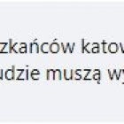 zdjęcie nr 10