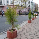 Gazony na Sienkiewicza (3)