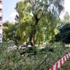 Uszkodzenia po nawałnicy na os. Tysiąclecia.