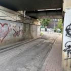 Fotka nr 5 z 7