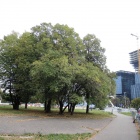 Skwer przed Superjednostką (3)